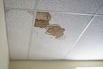 ratten op plafond van een kantoor kantoor veroorzaken problemen